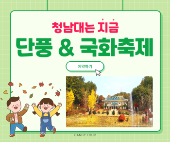 청남대 국화축제+단풍투어