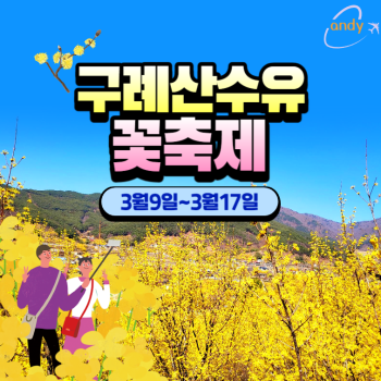 구례산수유꽃축제