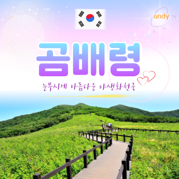 천상의 화원 곰배령