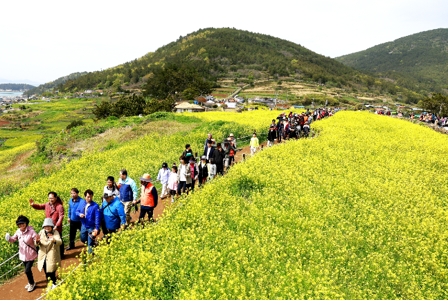 청산도 완도 1박2일