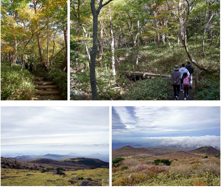 제주도 한라산등반 3박4일패키지