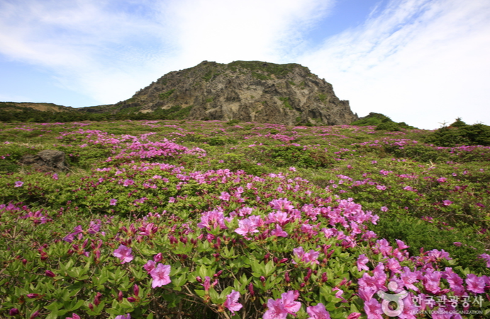 제주도 한라산등반 3박4일패키지