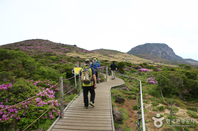 제주도 한라산등반 3박4일패키지