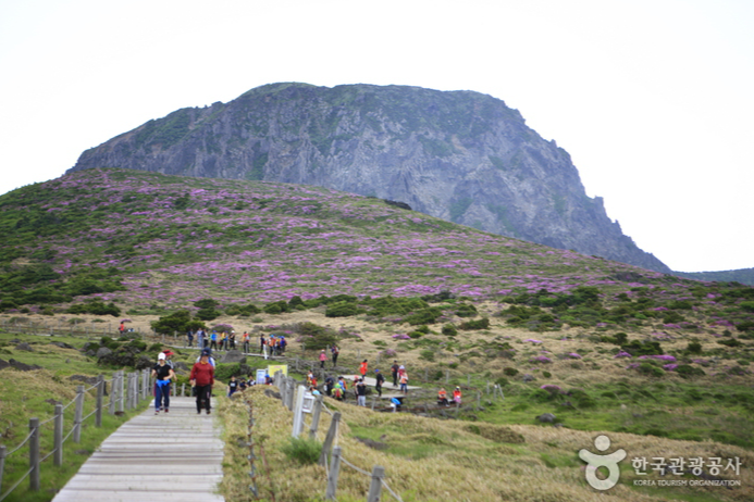 제주도 한라산등반 3박4일패키지