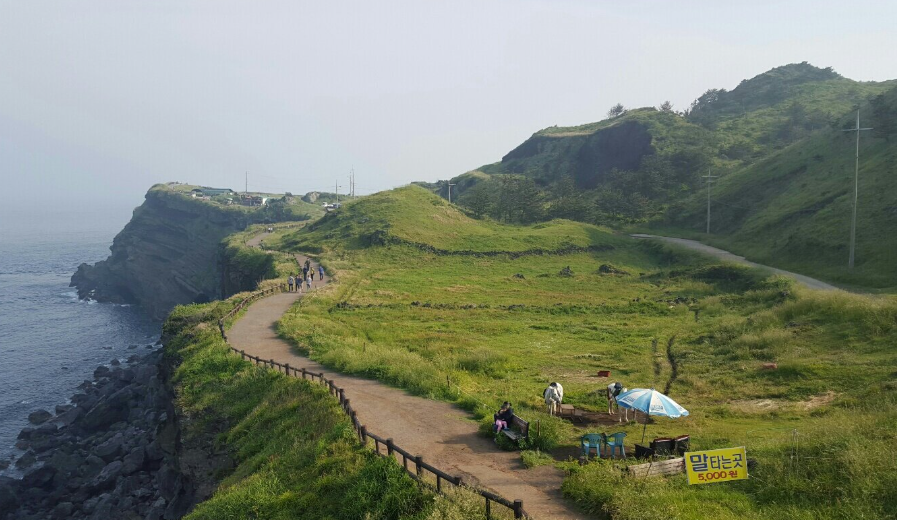 초초초특가! 제주도수국꽃 3박4일패키지 월,화,수출발 99,000원~