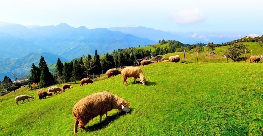 대만3박4일 별빛투어특별상품