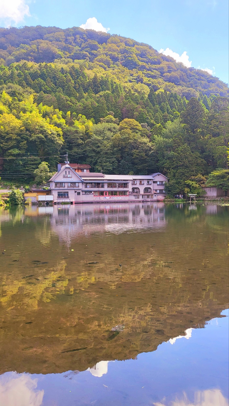 후쿠오카2박3일 에어부산왕복