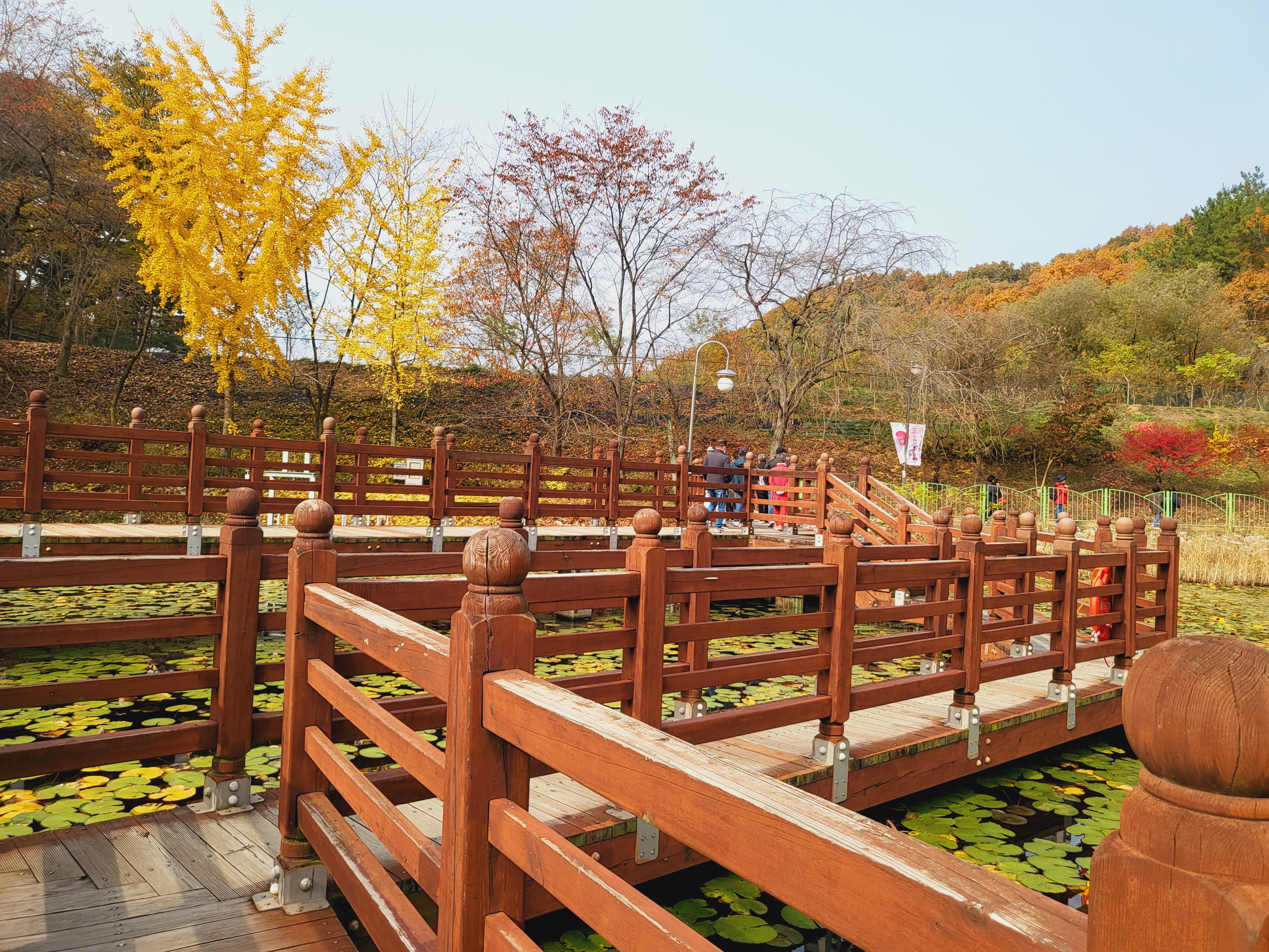 청남대 가을축제(국화&단풍)