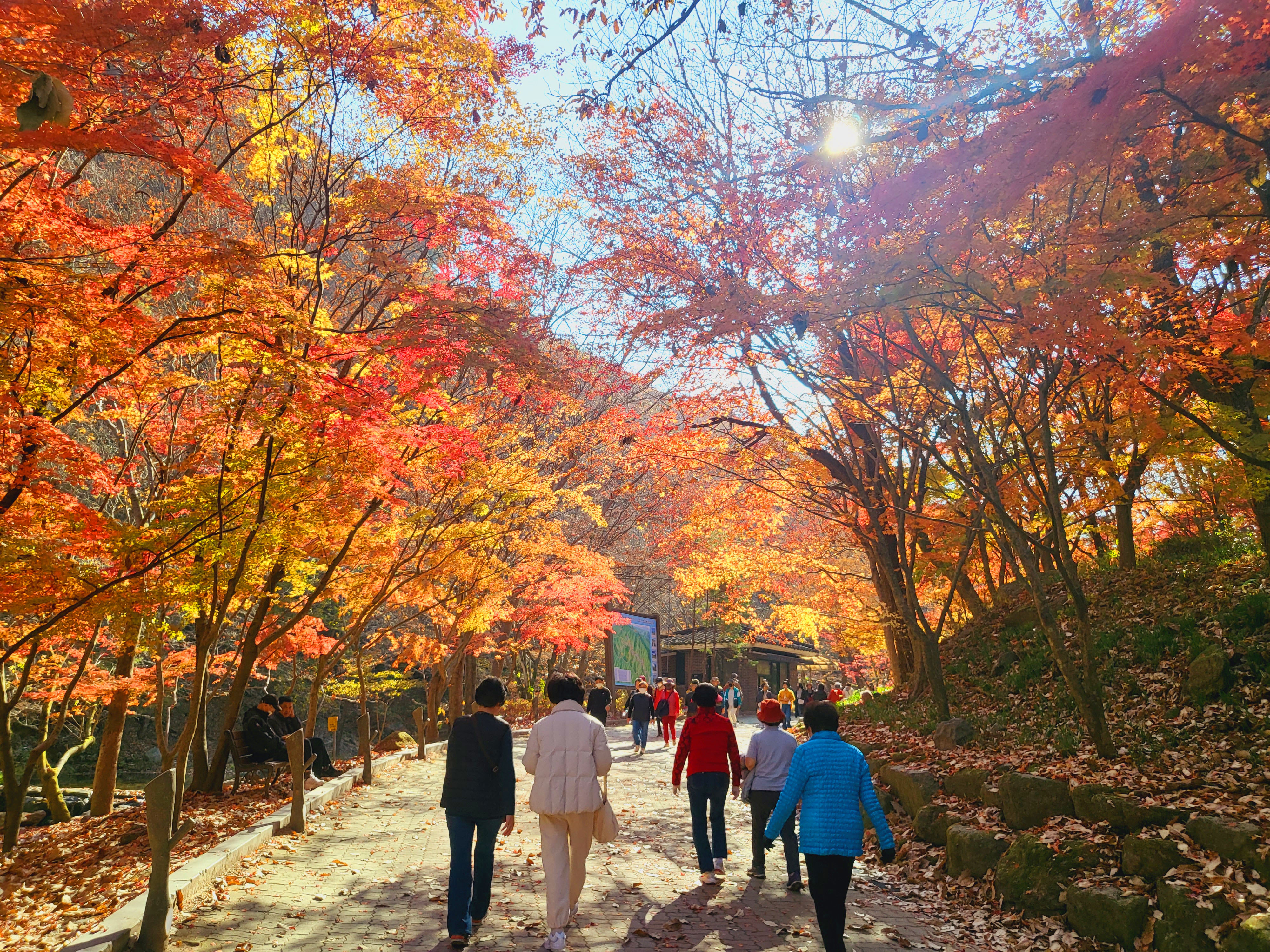 강천산 단풍여행