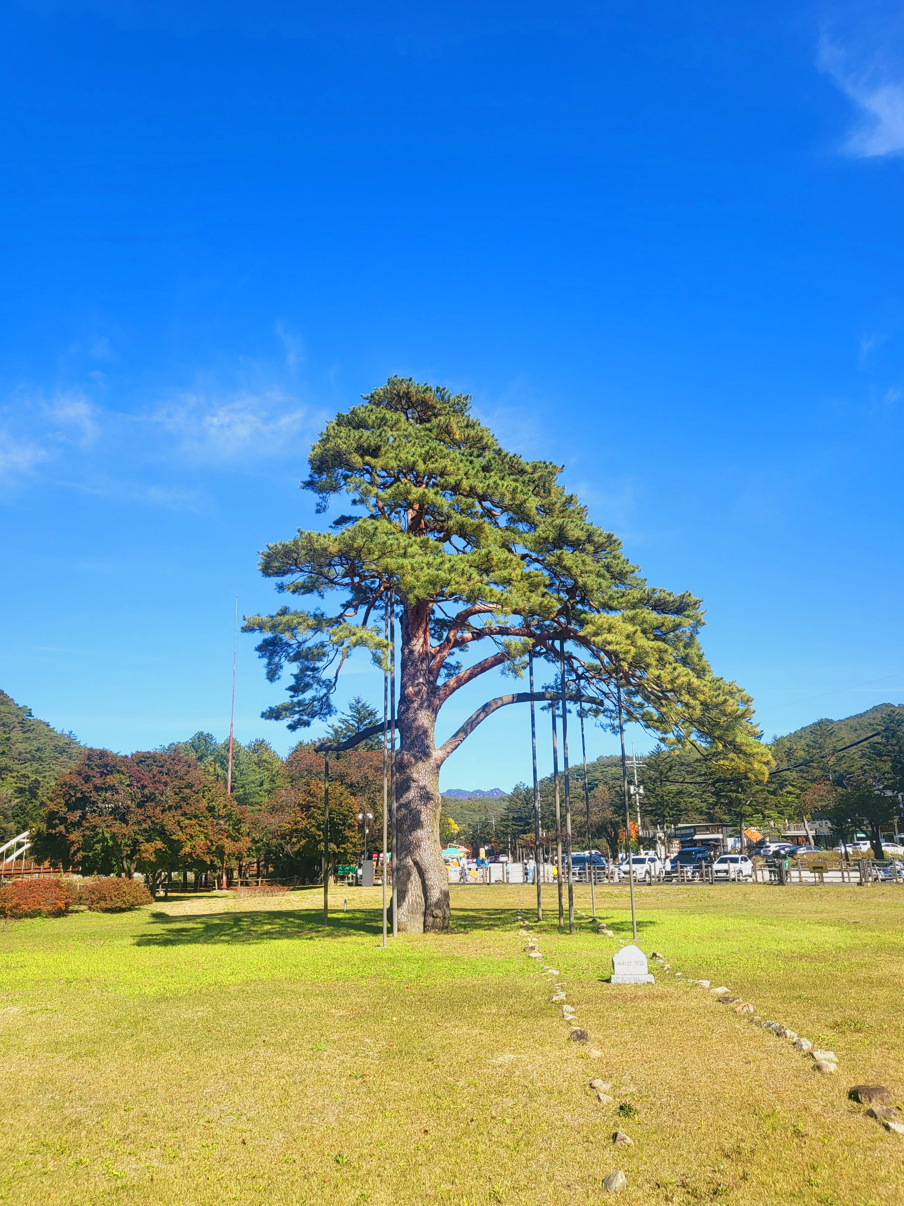 속리산세조길 단풍여행