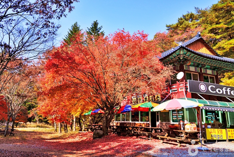 속리산세조길 단풍여행