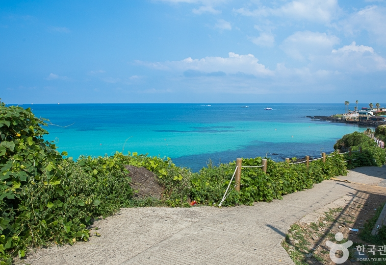 제주도가을꽉찬2박3일(오전출발)