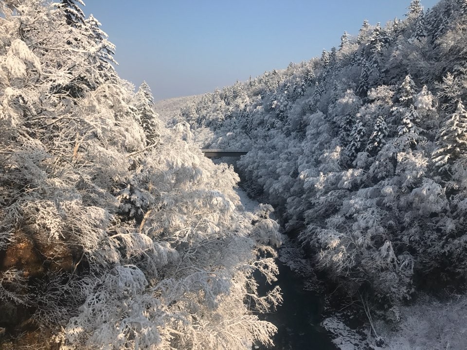 북해도3박4일 스팟특가