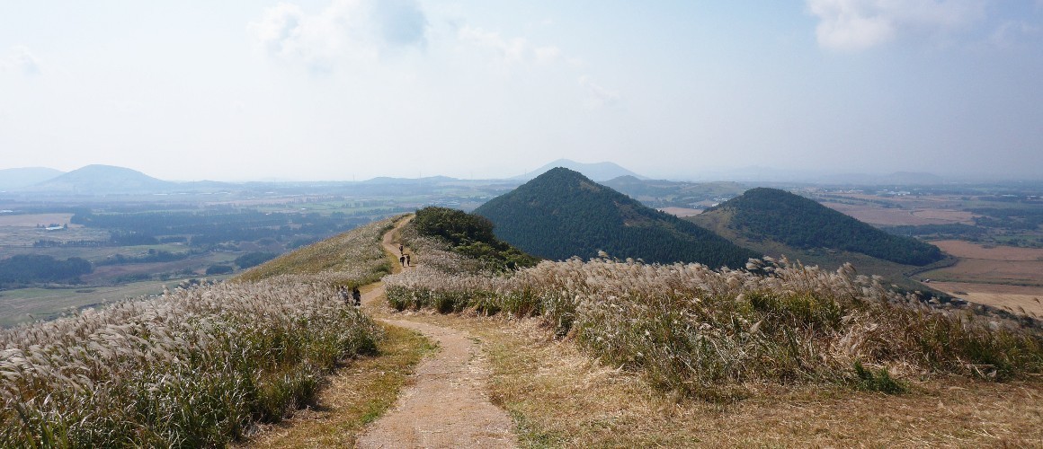 제주 설연휴 가족여행 3박4일