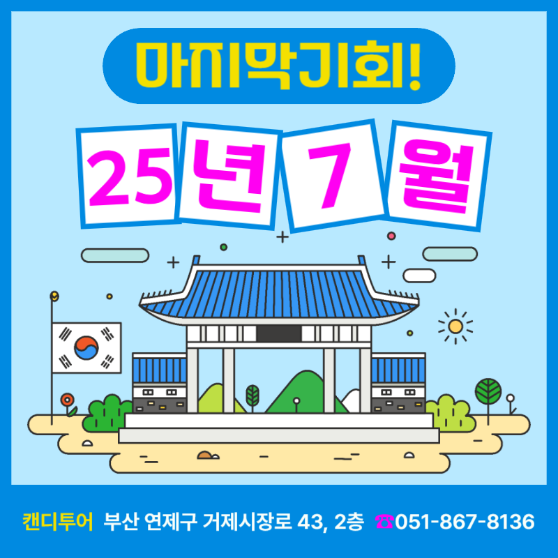 청와대당일투어