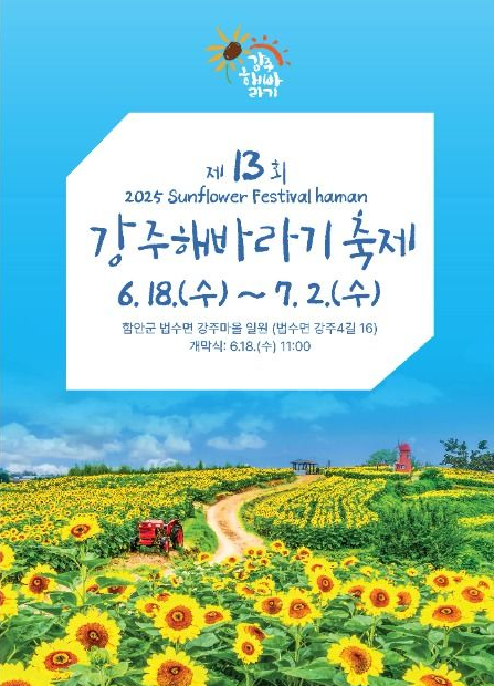 🧡함안강주해바라기축제당일💛