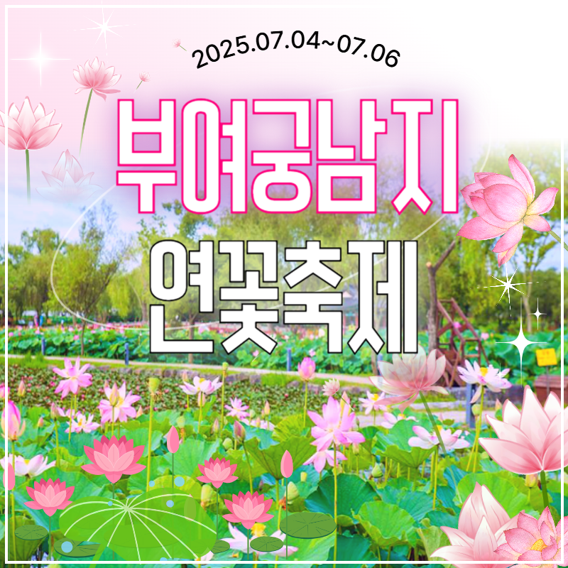 🧡부여서동연꽃축제당일💛