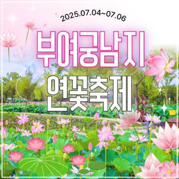 🧡부여서동연꽃축제당일💛