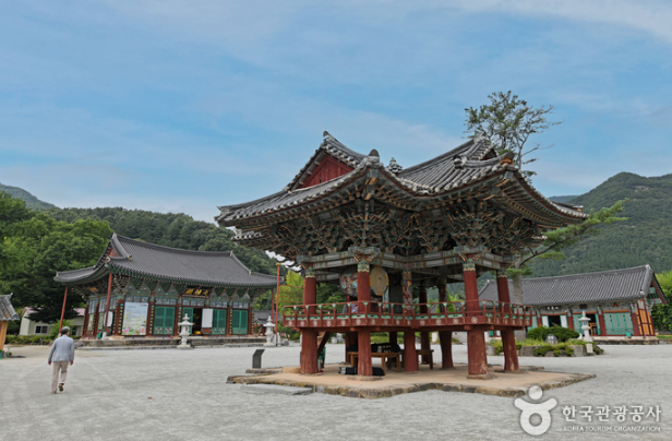 2025 윤달기념 삼사순례당일 특별여행