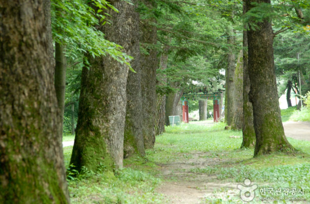 2025 윤달기념 삼사순례당일 특별여행