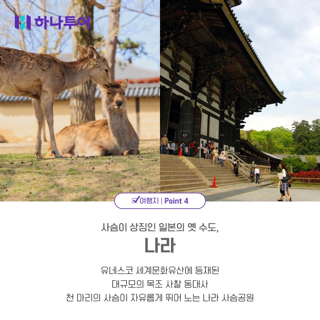 [부산출발] 팬스타 미라클호  오사카/나라/교토/고베 4박5일