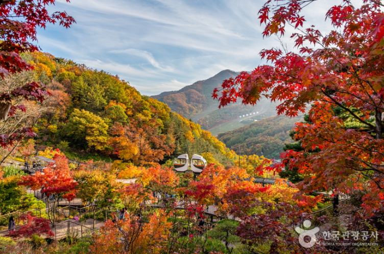 곤지암화담숲 단풍당일