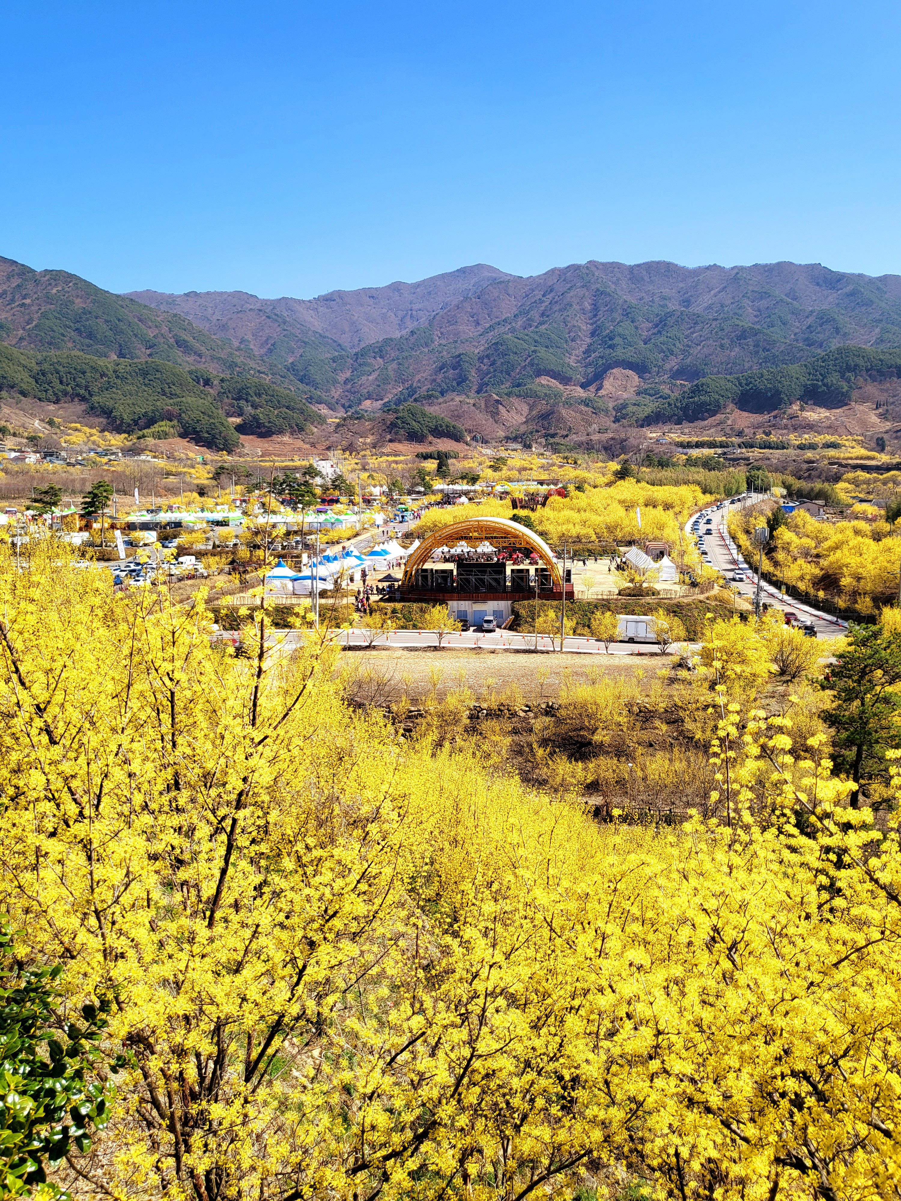 광양매화+구례산수유축제 당일여행