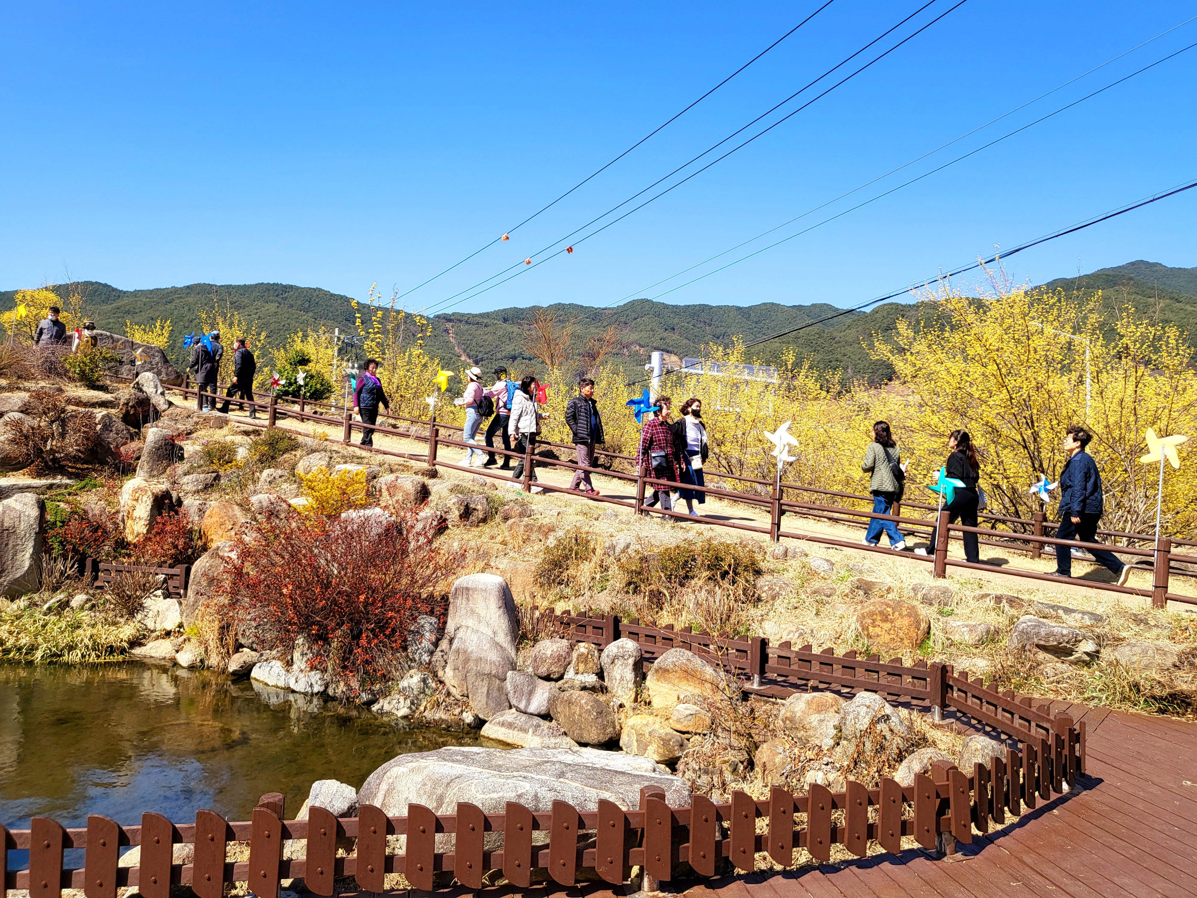 광양매화+구례산수유축제 당일여행