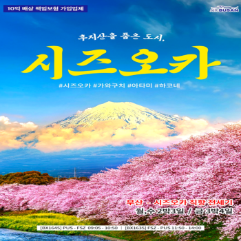 시즈오카 3일/4일 일본소도시여행 부산출발 에어부산