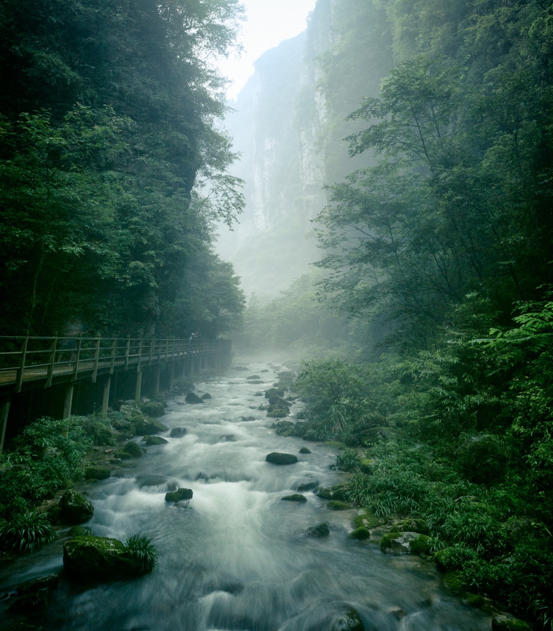 한국인이 사랑하는 1등 관광지 중국 장가계 노팁 노옵션 3박 4일PKG