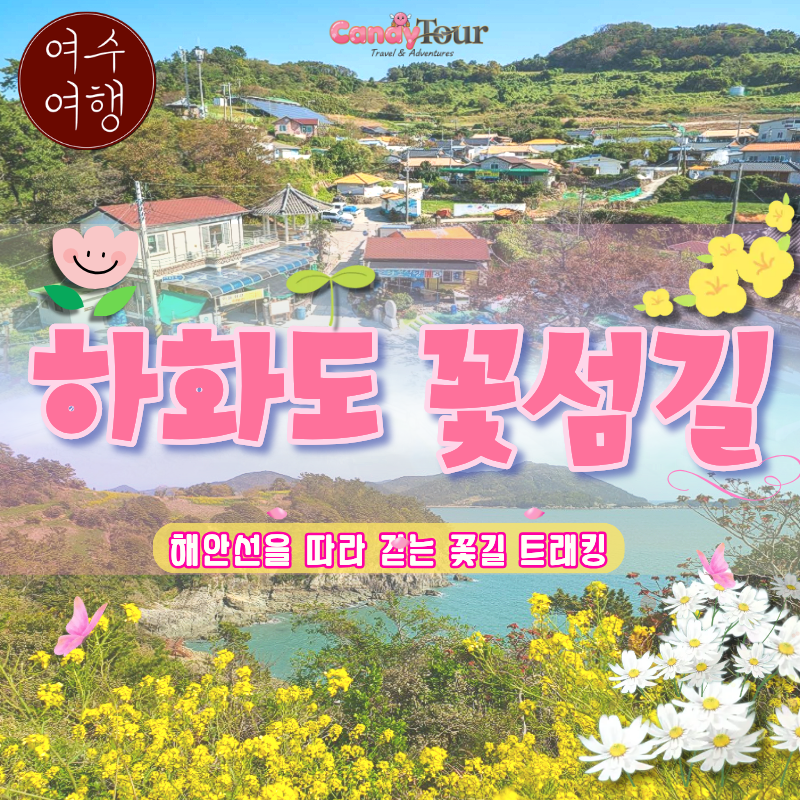 여수하화도봄꽃트래킹당일🌷☘️