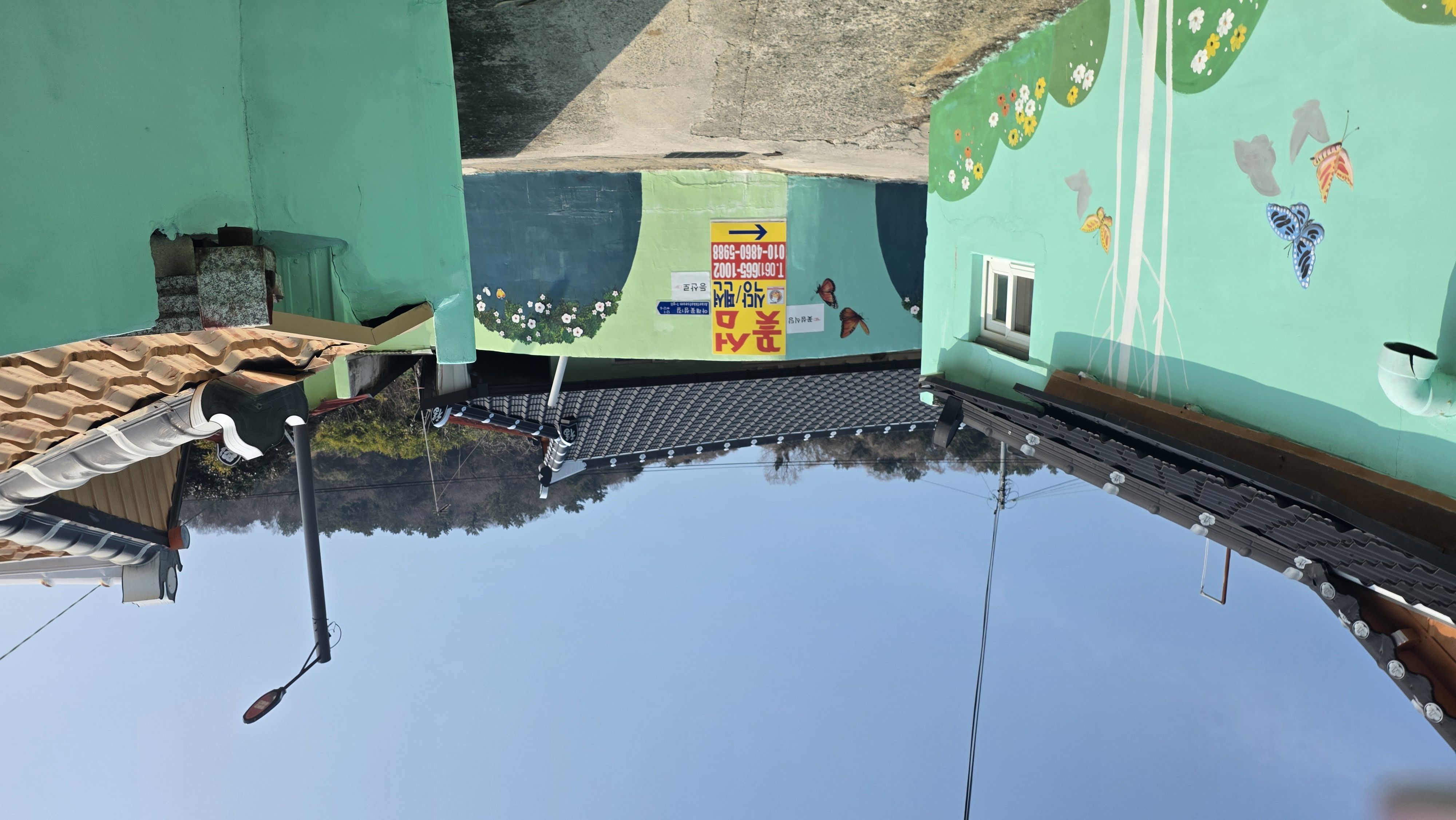 여수하화도봄꽃트래킹당일🌷☘️