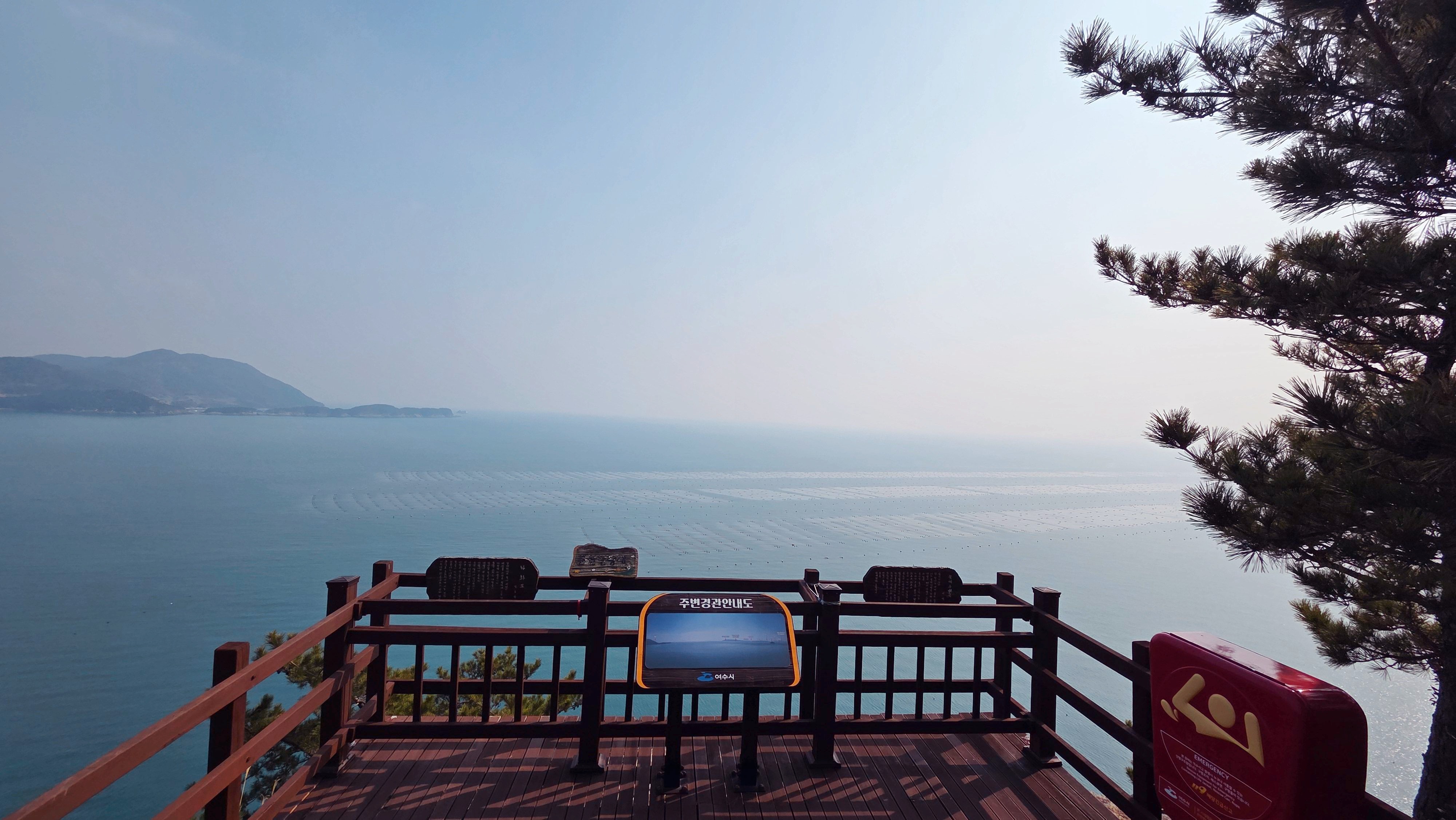 여수하화도봄꽃트래킹당일🌷☘️