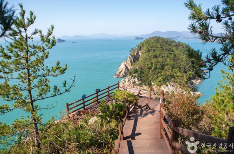 여수하화도봄꽃트래킹당일🌷☘️