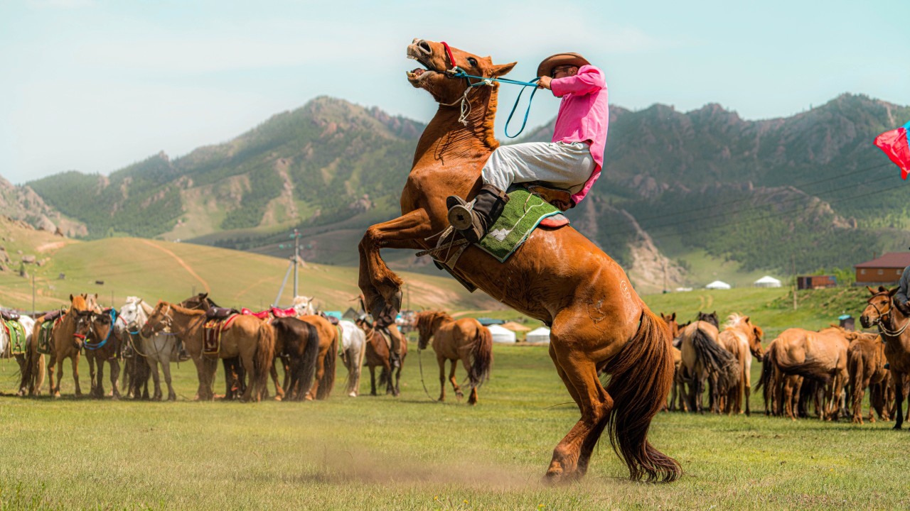 광할한 대초원과 황금빛 사막 몽골 노팁노옵션노쇼핑 3박/4박 패키지여행