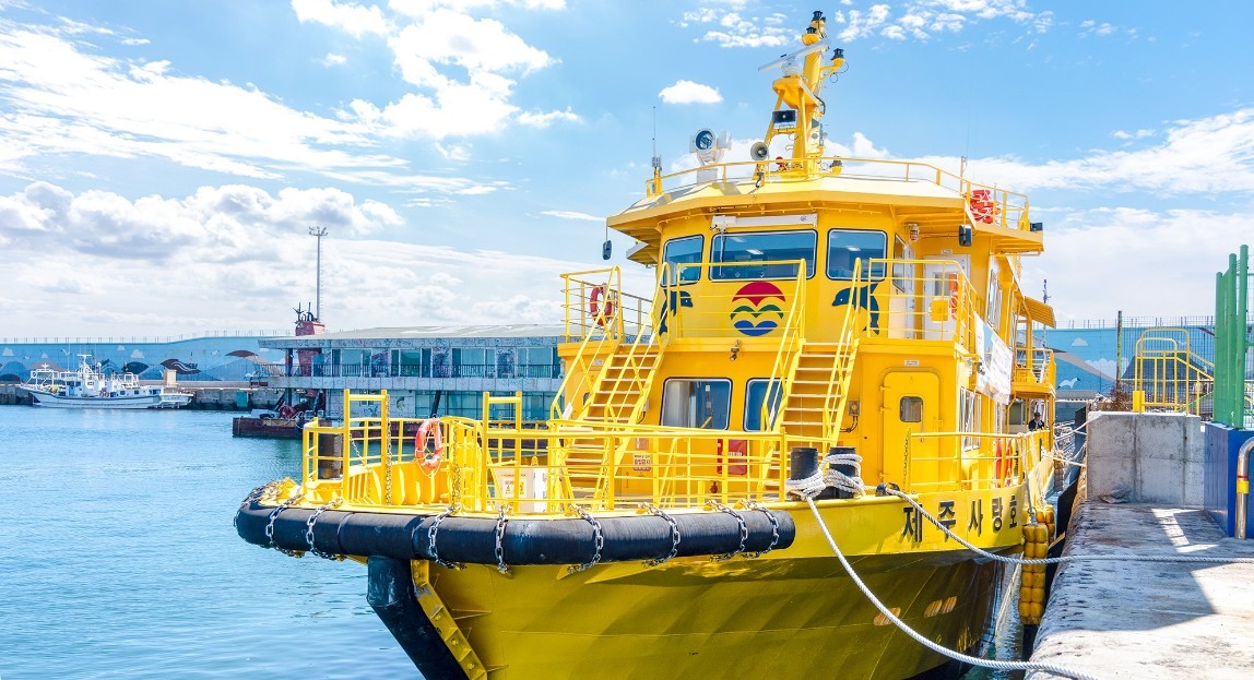 제주도 노!노! or 노!노!노! + 가파도 청보리 투어 2박3일 조-석