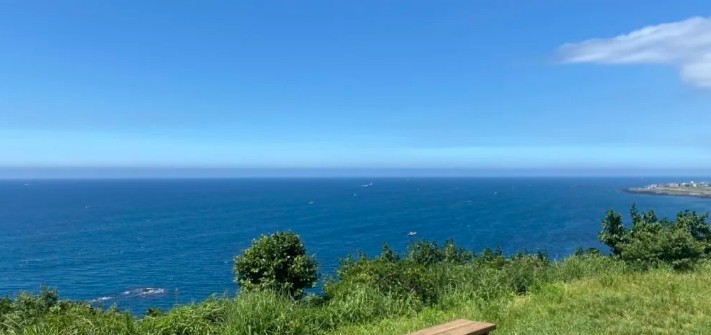 제주도 노!노! or 노!노!노! + 가파도 청보리 투어 2박3일 조-석