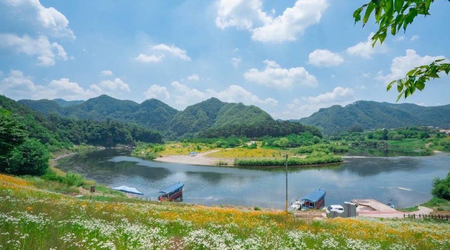 여수하화도봄꽃트래킹당일🌷☘️