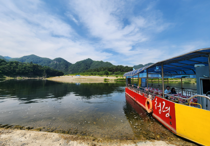 여수하화도봄꽃트래킹당일🌷☘️