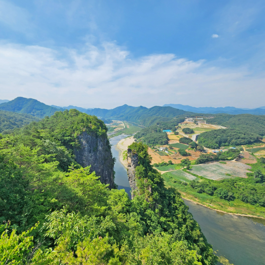 여수하화도봄꽃트래킹당일🌷☘️