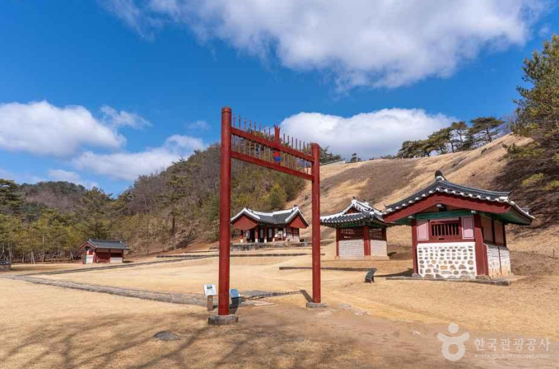 여수하화도봄꽃트래킹당일🌷☘️