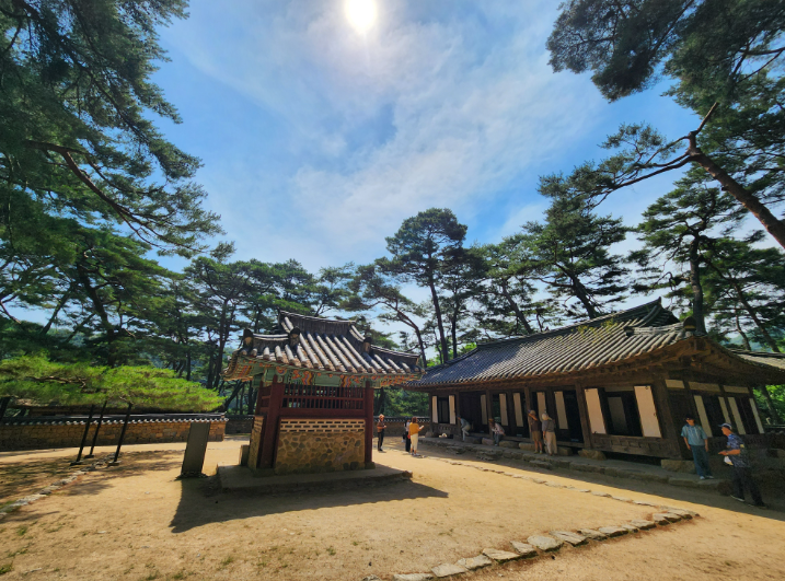 여수하화도봄꽃트래킹당일🌷☘️