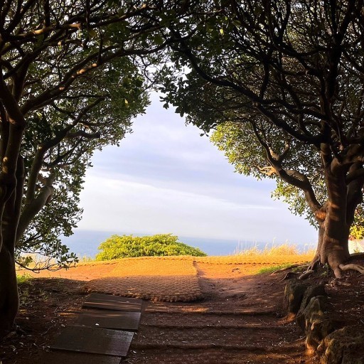 [전국출발] 봄 제주 2박3일 vs 3박4일 이색테마 비양도 국내여행 봄여행