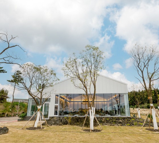 [전국출발] 봄 제주 2박3일 vs 3박4일 이색테마 비양도 국내여행 봄여행