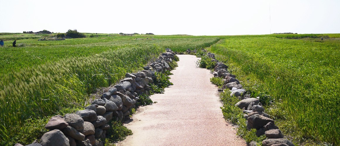 봄 제주도 + 가파도 청보리 3박4일 석-조 패키지 국내여행