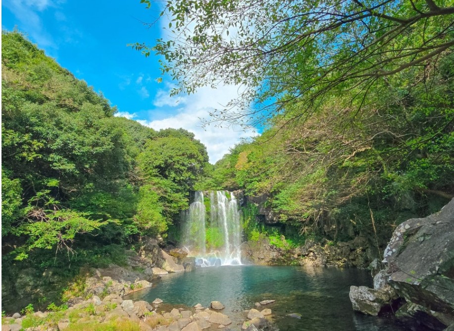 봄성수기 제주도 3박4일 석-조패턴 유채꽃 벚꽃 풀옵션 패키지여행 국내여행