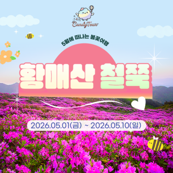 황매산철쭉축제 당일여행