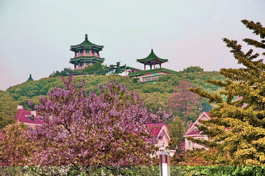 중국 청도 노옵션 2박 3일 패키지 해외여행 부산출발 해외여행