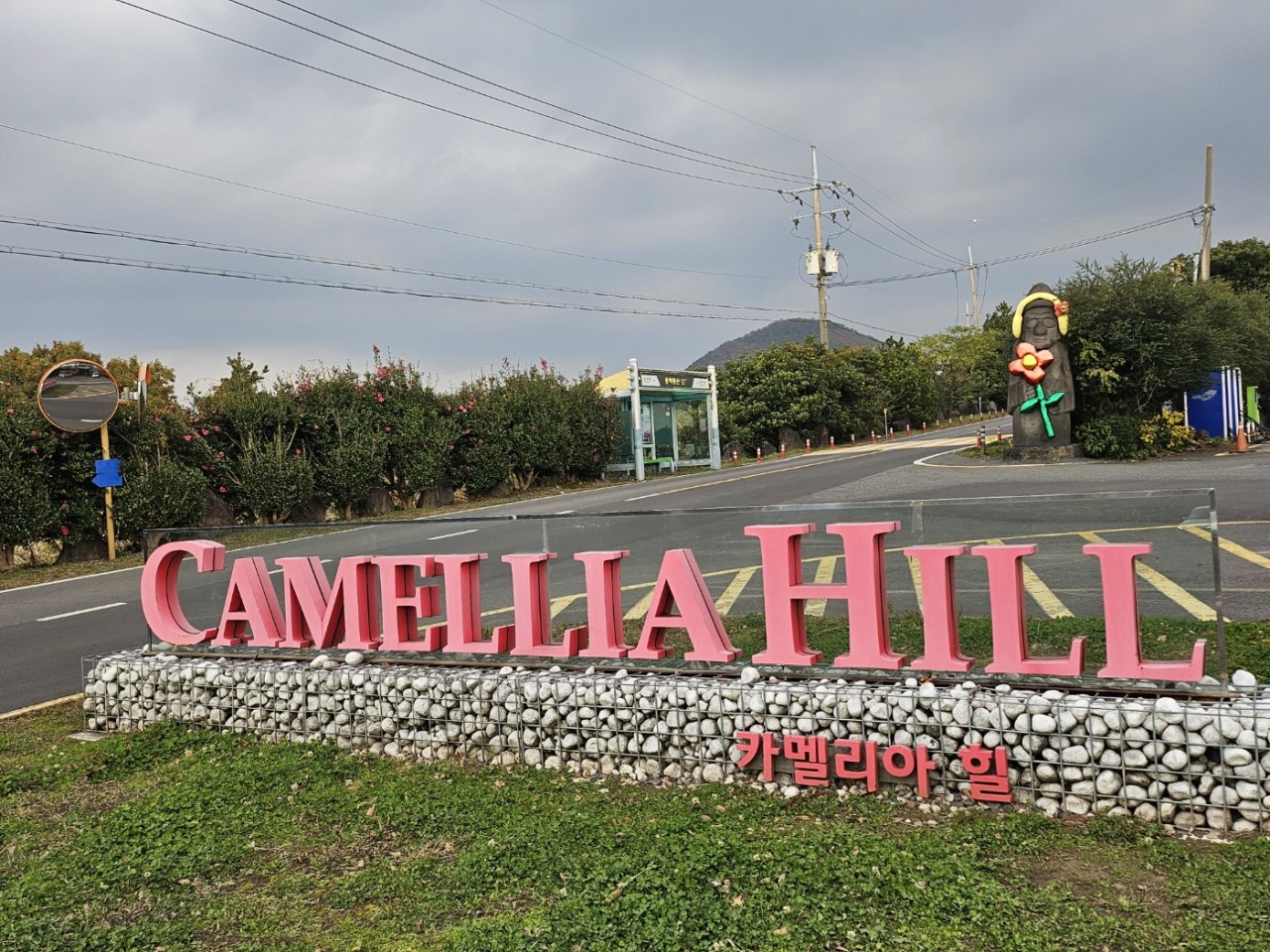 [전국출발] 제주도 수국 기획 2박/3박 특가 패키지 국내여행