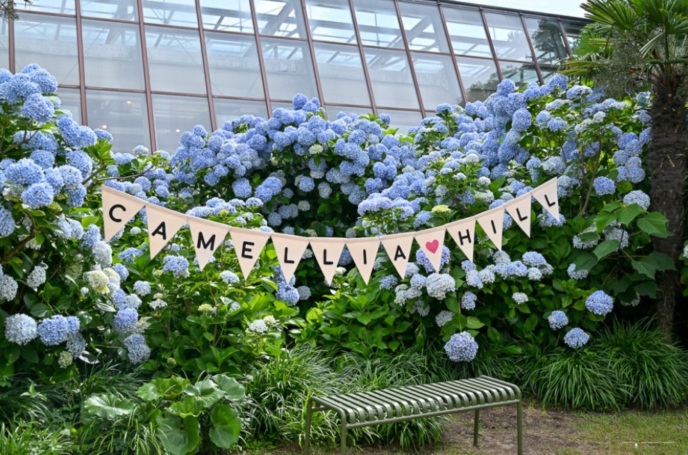 [전국출발] 제주도 수국 기획 2박/3박 특가 패키지 국내여행